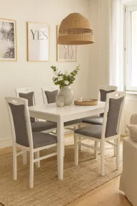 2er-Set Esszimmerstühle aus Massivholz Buche in Weiß mit Polsterung in Graphit